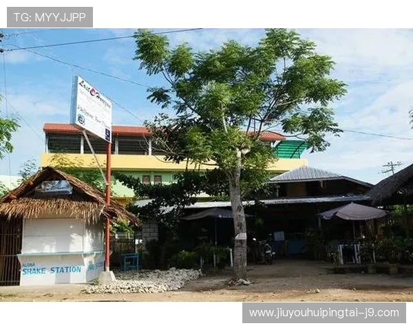 九游集团菲律宾：未来发展规划与在东南亚市场的战略布局