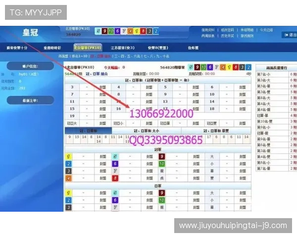 快三投注技巧分享，提升你的中奖率和游戏乐趣